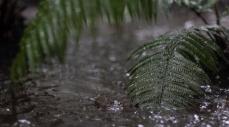 Juyá: el Dios de la lluvia para los wayuu